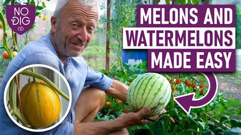 melons tune|Melons